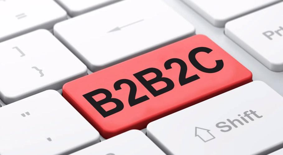 b2b2c商城系统开发解决方案_平台_商家_商品